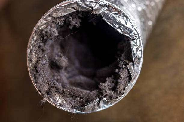 Professional Airduct Cleaning in IA
