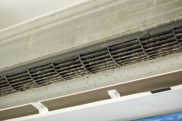 Best Air Vent Cleaning Services  in State Center, IA